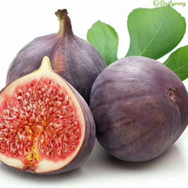 đSzuperĂłriĂĄs fĂŒgemagok â Ćszibarackos Ă©dessĂ©g minden falatban! đ