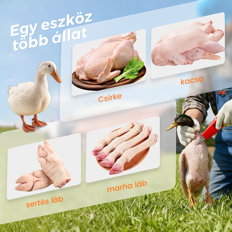 đ„đ Elektromos baromfi tolltĂ©pĆ gĂ©p â EgyszerƱ tolltĂ©pĂ©s, idĆ- Ă©s energiamegtakarĂtĂĄs! đšâđłđ