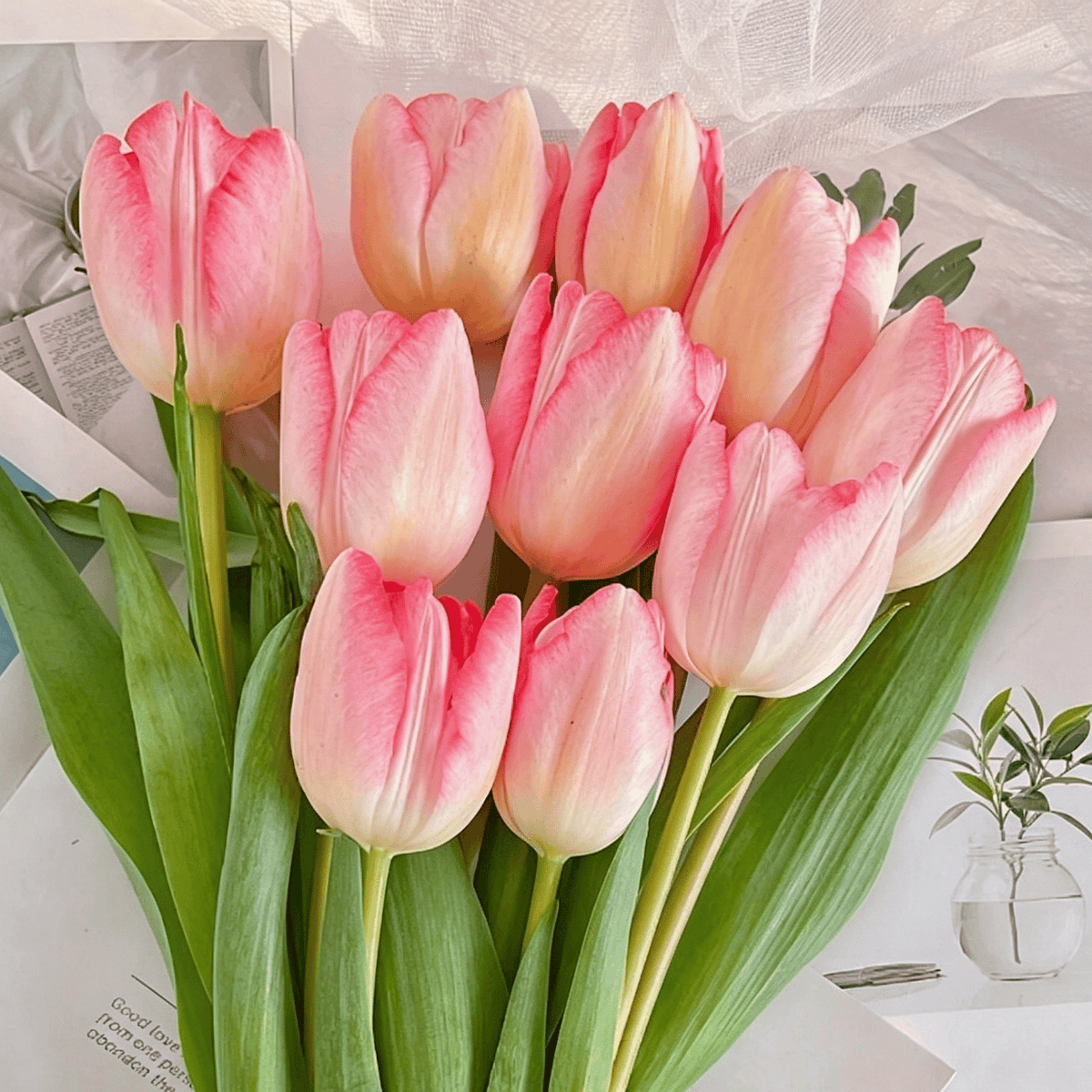 đ·Ritka tulipĂĄnmagok â SzĂnes tavaszi virĂĄgok cserepekbe, szegĂ©lyekbe Ă©s kertekbe