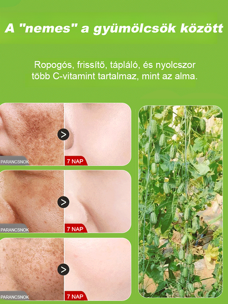 Egyszerűen termeszthető: mexikói uborka