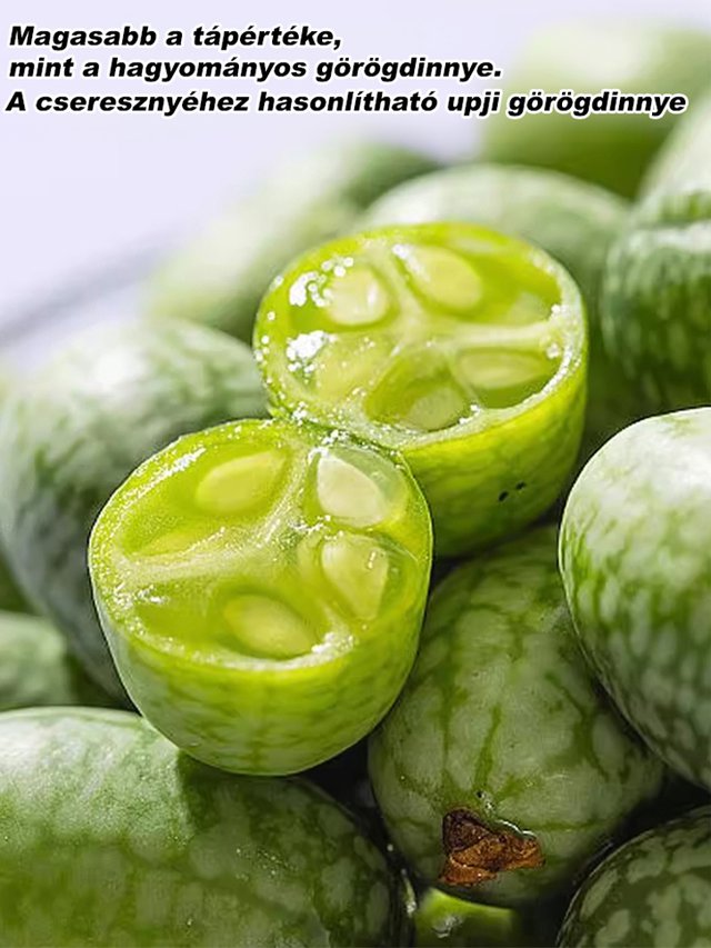 Egyszerűen termeszthető: mexikói uborka