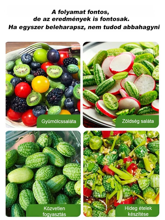 Egyszerűen termeszthető: mexikói uborka