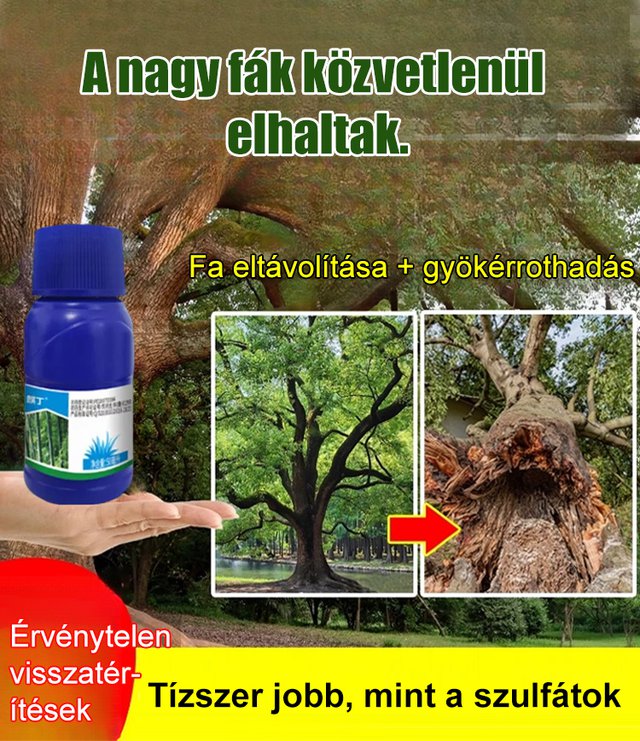 Tű alakú piridoxin-előállító szer