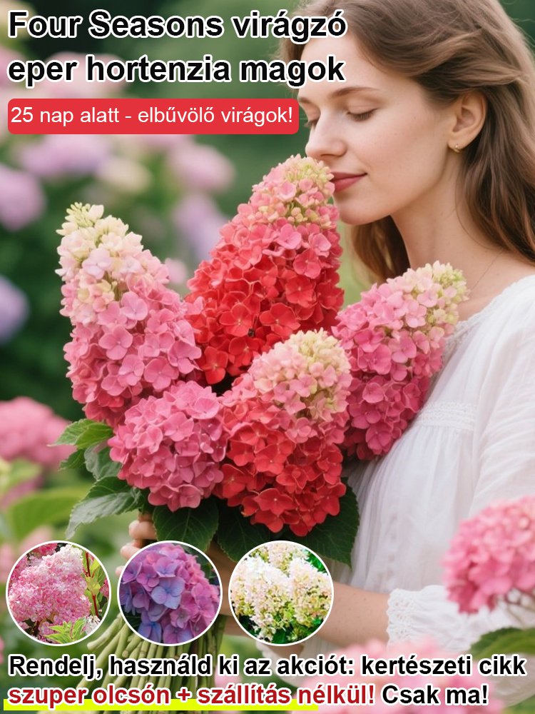 Négy évszakos eper hortenzia magok