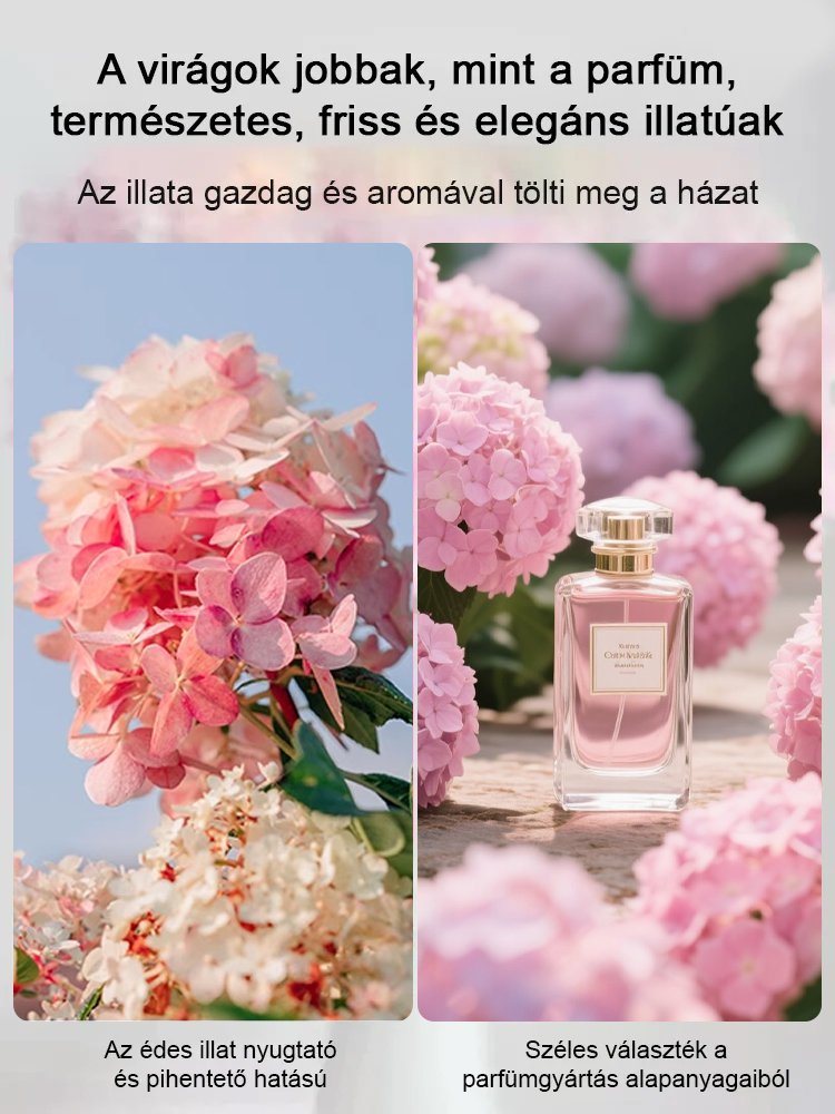 Négy évszakos eper hortenzia magok