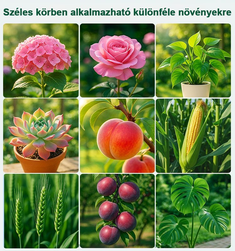 1000 kg vízzel hígított egy üveg növényi gyümölcsfa tisztítószer