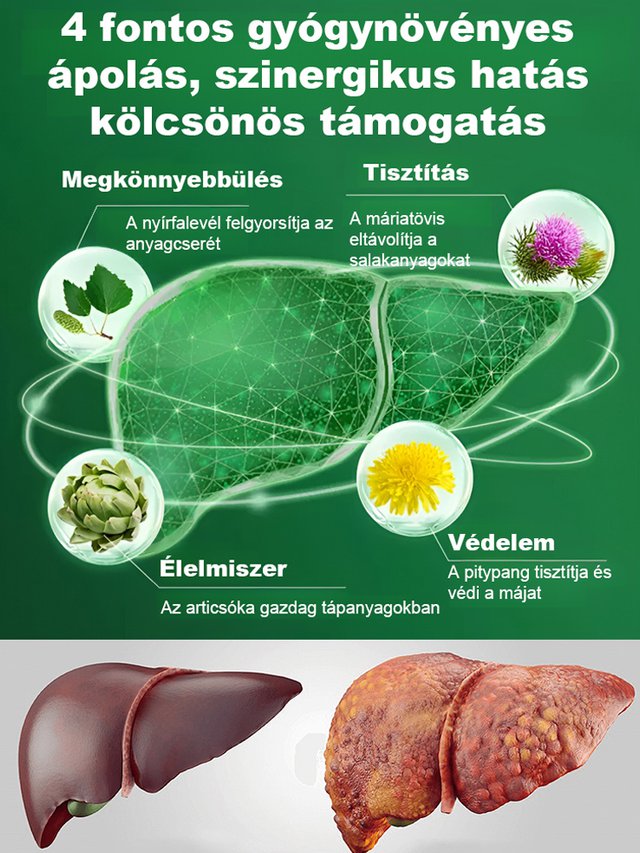 Víz Repülő Thistle kivonat májvédő kapszula