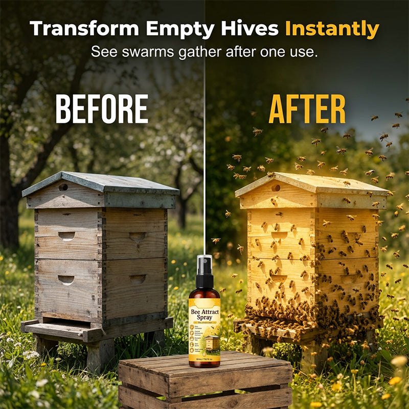 đŻđ MĂ©hcsalogatĂł spray | SegĂt mĂ©hrajokat vonzani a kaptĂĄrhoz, növelve a mĂ©hcsalogatĂĄs hatĂ©konysĂĄgĂĄt! A mĂ©hek csalogatĂĄsa könnyebb! đĄ