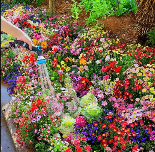 🔥Az akció utolsó napja💐Vegyes évelő virágmagok - több mint 60 vegyes fajta