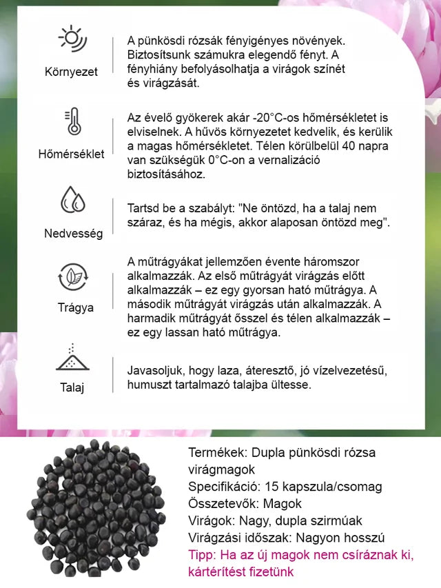 Válogatott bazsarózsa magok