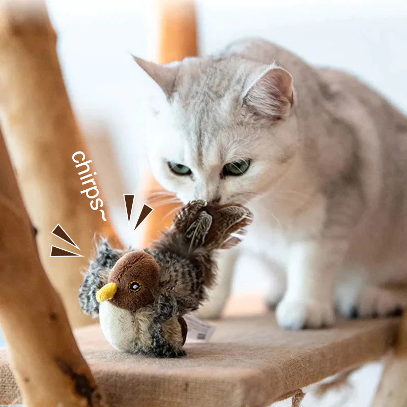 đ± FRISSĂTETT ARCĂ MACSKAJĂTĂKđŠ