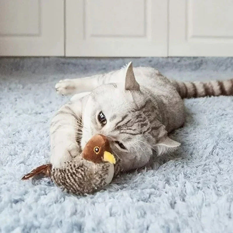 đ± FRISSĂTETT ARCĂ MACSKAJĂTĂKđŠ