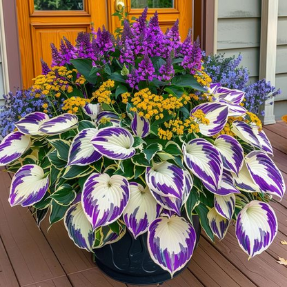 Hardy Beauty: Árnyék- és hidegálló hosta virágok