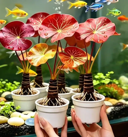 🐟Hidroponikus vörös lótuszgyökerek🌿 Változtasd akváriumodat élő kertté