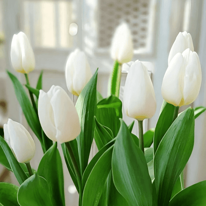 🌷Ritka tulipánmagok – Színes tavaszi virágok cserepekbe, szegélyekbe és kertekbe