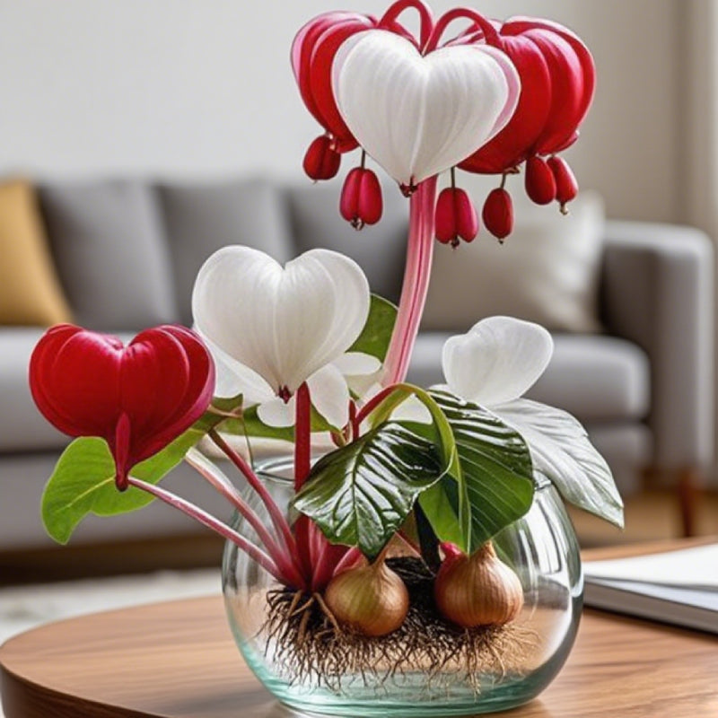 💕 Váltsd valóra a kívánságaidat: Kívánsághagymák – Egy virágzó csoda minden otthonba🌷