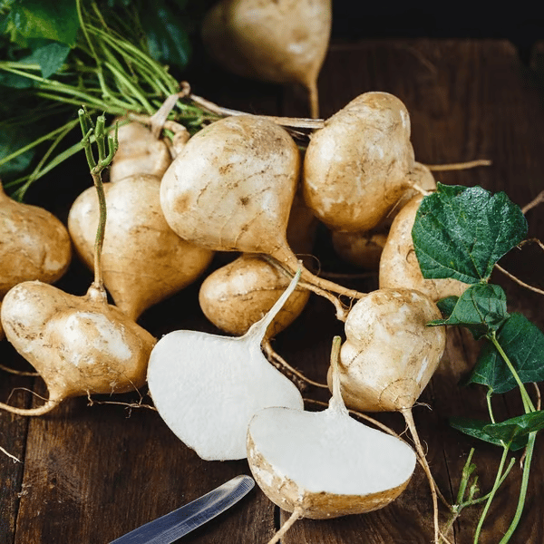Exkluzív ajánlat💥Gazdag, lédús és tápláló ropogós gyümölcs - édes jicama otthoni termesztéshez🍠