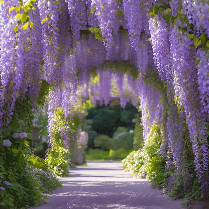 🌸Akácmagok – A kert zuhatagszerű szépsége egész évben💗