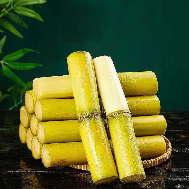 🌱 Magas hozamú cukornádmagok – könnyen termeszthetők és túlélhetők, tökéletesek otthoni gyümölcsültetéshez