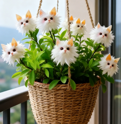 Varázslatos növények! A káprázatos "Macskaszem" sorozat✨
