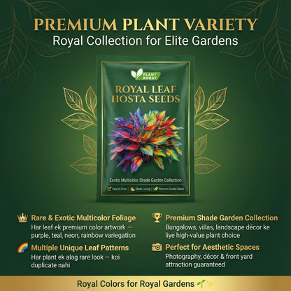 Royal Leaf vendégmagok