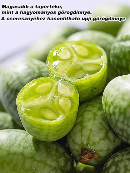 Egyszerűen termeszthető: mexikói uborka