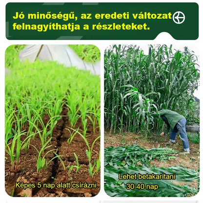 HFH-Importált magas Danwang füves csirke-, szarvasmarha-, juh- és haltenyésztési