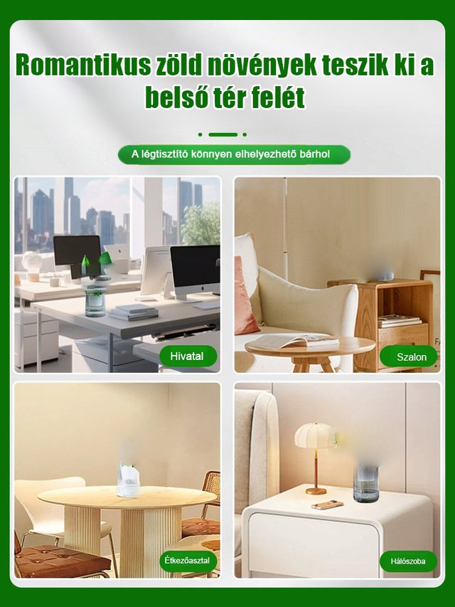 【Szárazságtűrő mérgekirály】Platina-gyémánt-zöld hercegnő nagy levelű cserepes növény