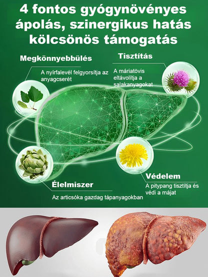 Víz Repülő Thistle kivonat májvédő kapszula