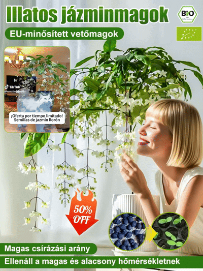 【Illat messzire terjed】Erős illatú lógó jázminmagok