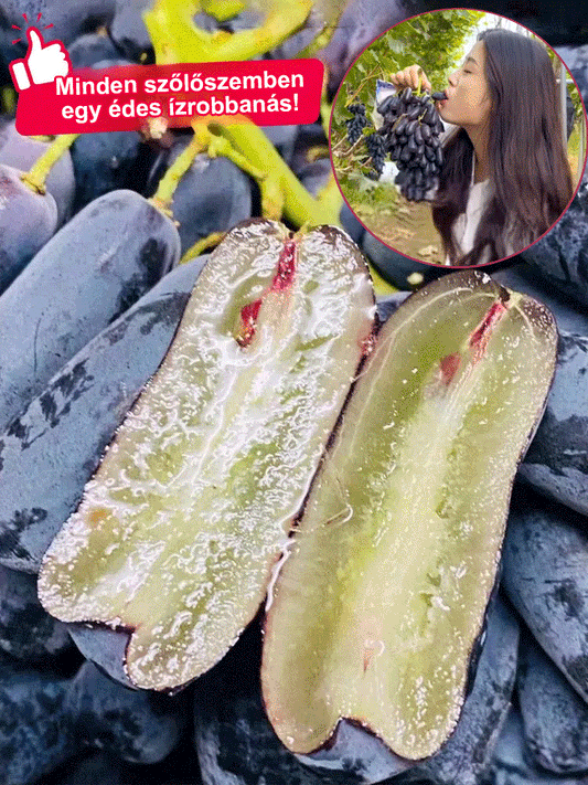 Sweet Sapphire szőlő magok