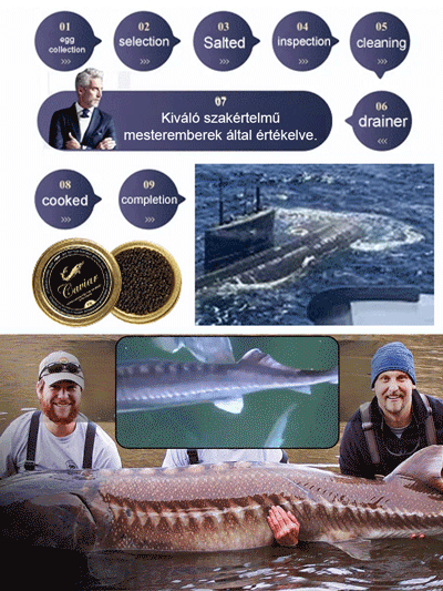 Oroszországban importált tokhal kaviár