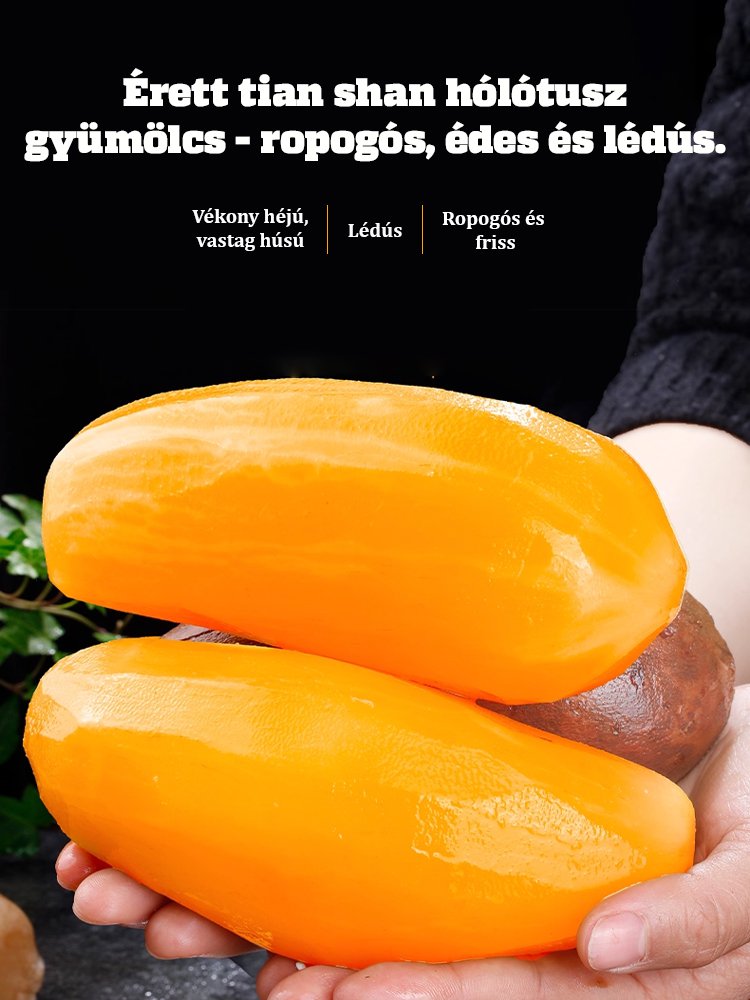 【Gyümölcsök ginzengje】Tianshan hó lótusz gyümölcsmag