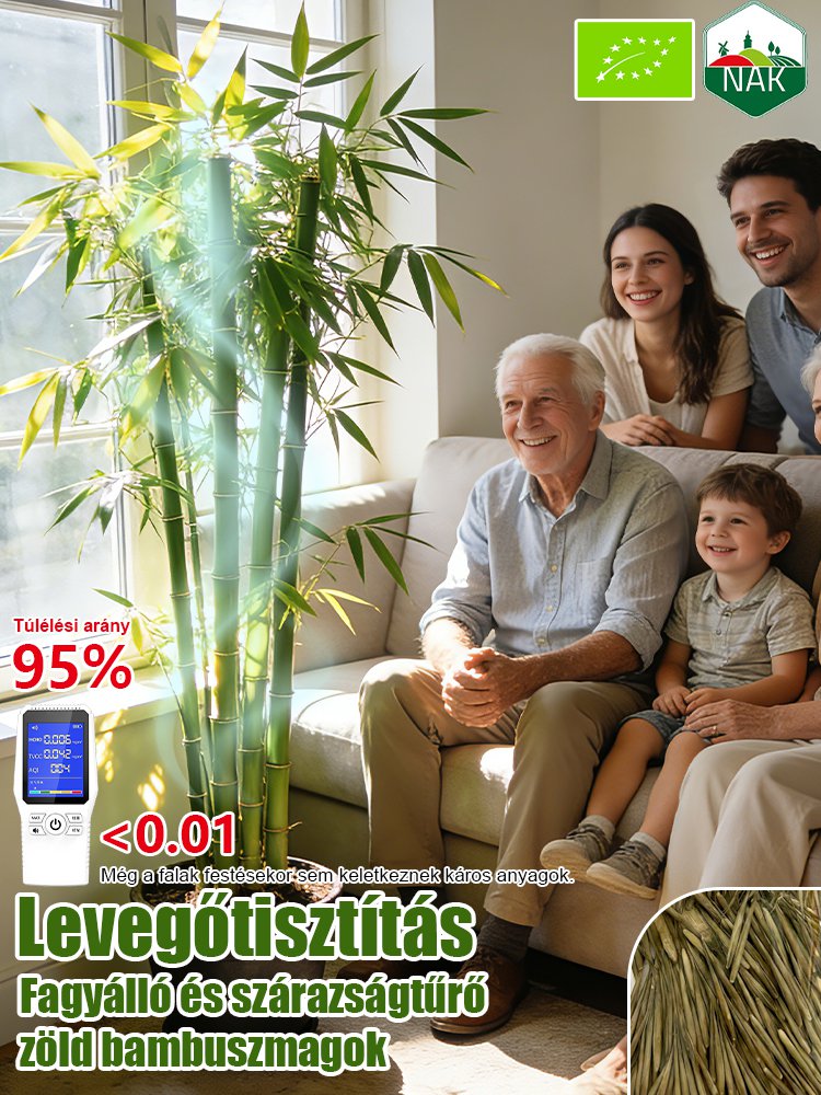 【Levegőtisztító】Fagy- és aszálytűrő zöld bambuszmagok