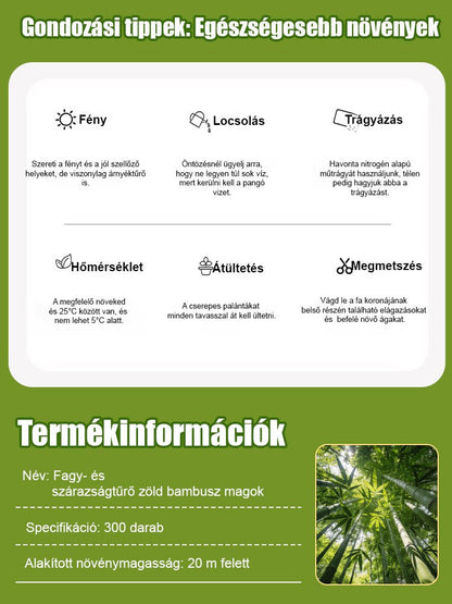【Levegőtisztító】Fagy- és aszálytűrő zöld bambuszmagok