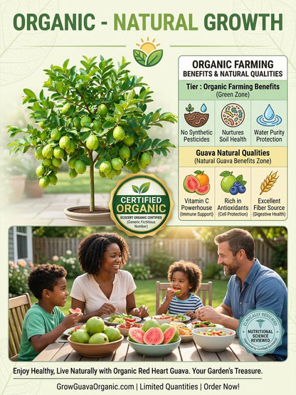 [C-vitamin bomba] Bio vörös guava palánták