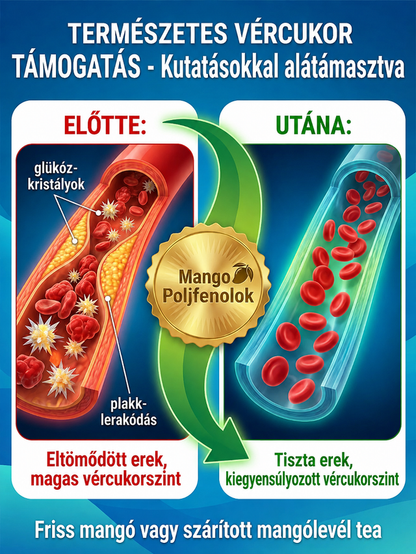 1-2 éven belül termő, nem génmódosított, törpe oltott mangófa palánta