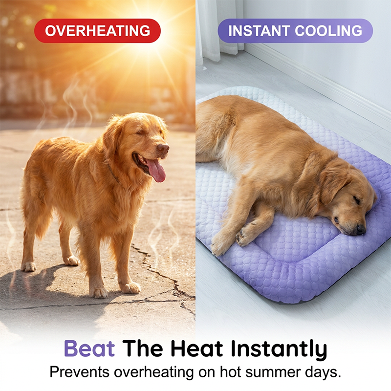 🐶🐱❄️ Hűsítő gél háziállatoknak, hűvös, lélegző, nem mérgező szőnyeg kutyáknak és macskáknak