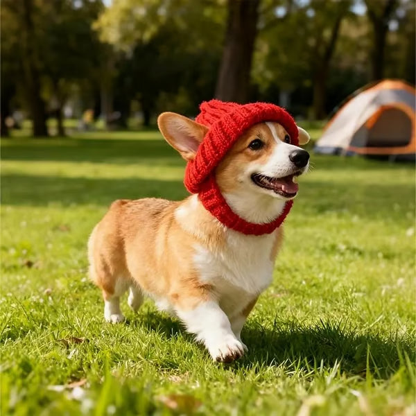 🐾Piros kutyasapka akrilfonalból - Meleg téli sapka