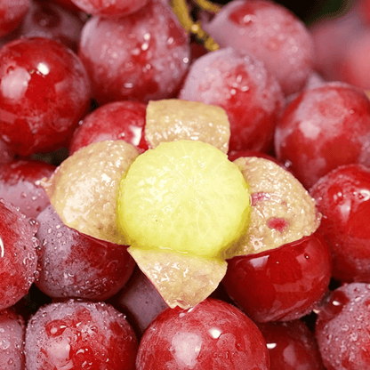 Limitált kiadású új fajta – Queen Nina szőlőmagok édes, lédús kerti termésért 🍇