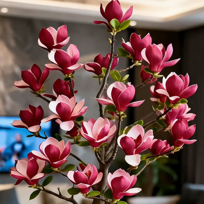 Magnolia liliiflora hagymái (lila orchideák) 🌸 A virágok elrejtik a leveleket, az illat betölti a levegőt