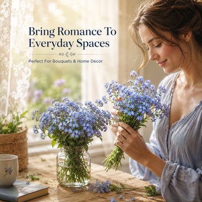 Blue Memory Nefelejcs magok – Minőségileg ellenőrzött Cottage Garden Blooms 🌿💙
