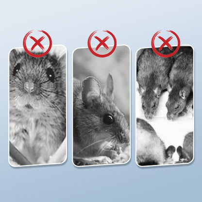 Újrafelhasználható patkánycsapda rendkívül érzékeny kioldó mechanizmussal