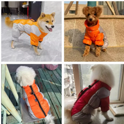❄️🐶 Fényvisszaverő, vízálló, szigetelt kabát kisméretű kutyák számára 🐕🐾