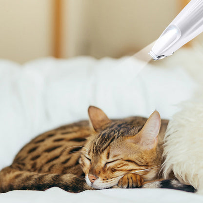 🔥 Újratölthető állatszőrnyíró 🐶🐾